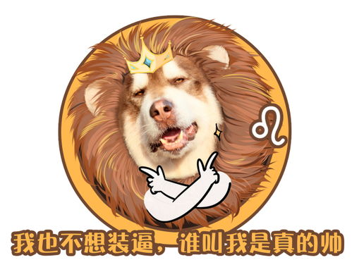 12星座的专属宠物：十二星座的专属萌宠，从守护神到灵魂伴侣的星月羁绊
