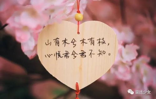 前世的姻缘今生的痛歌词：轮回之痛，前世姻缘与今生的宿命纠缠