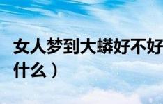 梦见大蟒蛇好不好：梦见大蟒蛇好不好？解密梦境中的神秘符号