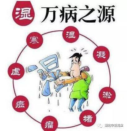 最有效消除肿瘤的中药：中药在肿瘤治疗中的辅助作用，科学认知与合理应用