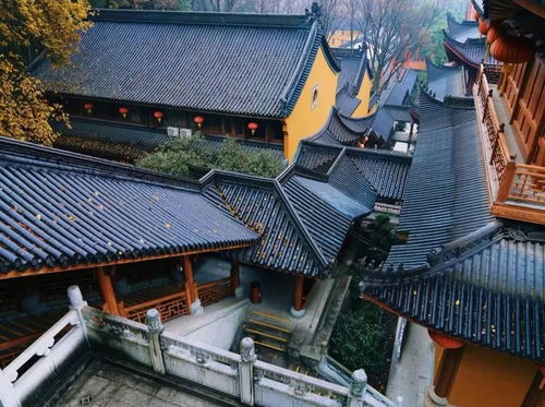 舟山普陀寺求姻缘灵验吗：舟山普陀寺求姻缘灵验吗？揭秘千年古寺背后的爱情传说
