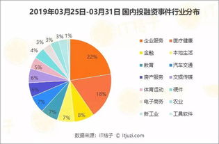 投资基金策略的灵活性与稳定性如何平衡？