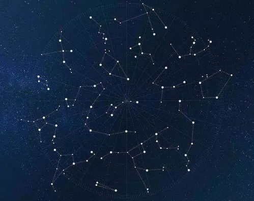 科技紫微今日运势：科技紫微今日运势，AI算法+紫微星象的精准能量指南