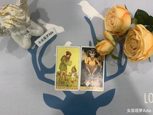yamaq塔罗牌：Yamaq塔罗牌，神秘主义与视觉革命的完美融合