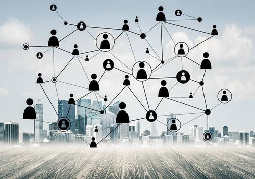 上流社会（上流社会准则）