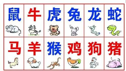 1996年属鼠女的姻缘：1996年属鼠女的姻缘运势解析，如何找到幸福伴侣