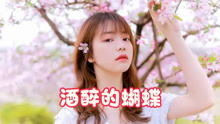 《酒醉的蝴蝶》原唱（酒醉的蝴蝶视频）