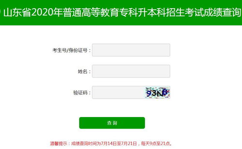山东考试院查成绩查询（山东考试院查成绩查询2020）