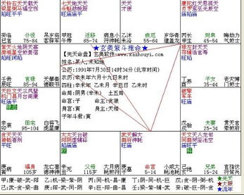 占星之门星盘查询：开启命运密码，占星之门星盘查询系统解析—你的个性化星象指南