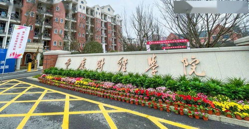 重庆科技学院官网（重庆城市科技学院官网）
