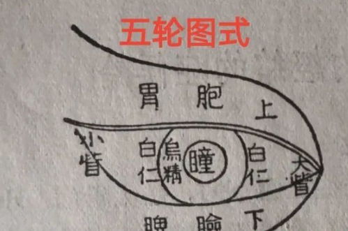 眼跳预兆吉凶：眼跳预兆吉凶，从传统文化到现代科学的解读