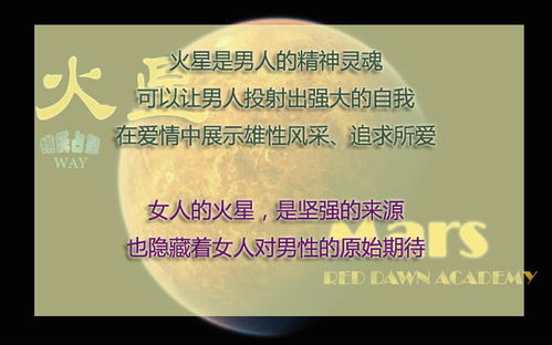金牛座男生的爱情观:金牛男的爱情观,务实与温情的双重奏 金牛座男生的爱情观:金牛男的爱情观,务实与温情的双重奏