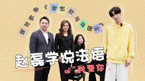 我爱你(我爱你法语) 我爱你(我爱你法语)