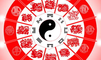 1992年属什么生肖的：1992年属什么生肖？揭秘背后的命理玄机