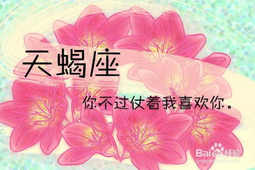 双子座斗得过天蝎座吗:双子座能否战胜天蝎座?性格博弈下的攻守之道 双子座斗得过天蝎座吗:双子座能否战胜天蝎座?性格博弈下的攻守之道