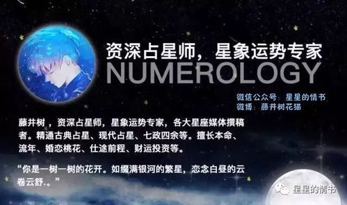 星座第一网：星座第一网，你的每日星象指南与人生解码器，开启精准运势时代