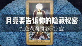 voyager 塔罗牌：航海者的神秘指引，探索Voyager牌阵的奥秘