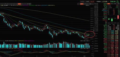 量子计算股周四早盘普遍上涨 量子计算股周四早盘普遍上涨