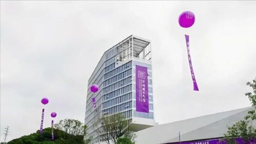 深圳城市职业学院(深圳城市职业学院录取线) 深圳城市职业学院(深圳城市职业学院录取线)