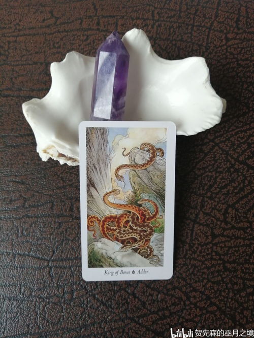 塔罗牌树木：塔罗牌中的树木，自然之力与灵性象征的完美融合