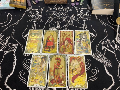 塔罗牌 白猫:白猫与塔罗牌,神秘与灵性的交织 塔罗牌 白猫:白猫与塔罗牌,神秘与灵性的交织