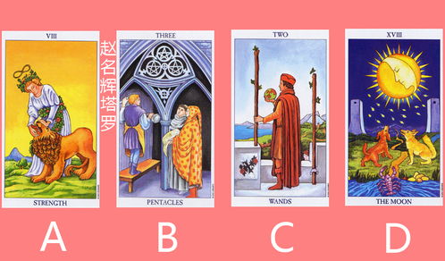 武曌塔罗牌：武曌塔罗牌，女皇的神秘占卜