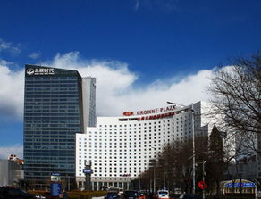 北京朝阳门中西医是私立吗：揭秘北京朝阳门中西医诊所，私立还是公立？