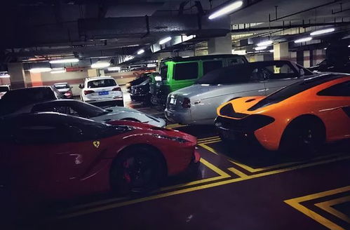 非常容易出车祸的一组车牌号:民间传闻中的高危车牌,那些被数字与颜色诅咒的驾驶者 非常容易出车祸的一组车牌号:民间传闻中的高危车牌,那些被数字与颜色诅咒的驾驶者