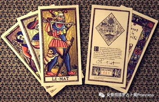 猫鱼塔罗牌:猫鱼塔罗牌,神秘与灵性的完美融合 猫鱼塔罗牌:猫鱼塔罗牌,神秘与灵性的完美融合