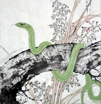 属蛇的人2025年运势及运程:2025年属蛇人运势全解析,事业财运双旺,健康爱情皆顺遂! 属蛇的人2025年运势及运程:2025年属蛇人运势全解析,事业财运双旺,健康爱情皆顺遂!