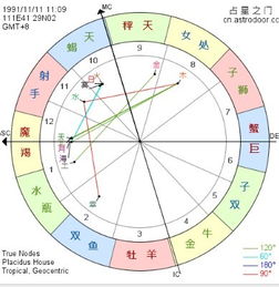 命盘十二宫查询：命盘十二宫查询指南，如何通过星盘十二宫解读人生轨迹？