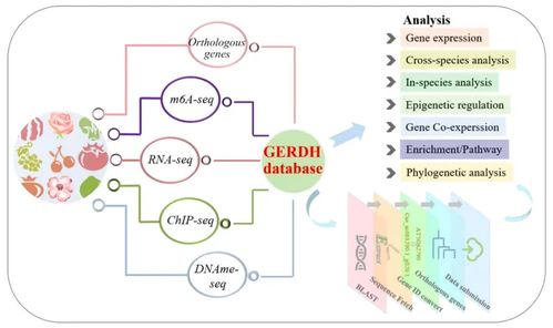 建立数据库的基本过程和方法:数据库建立指南,从规划到实施 建立数据库的基本过程和方法:数据库建立指南,从规划到实施