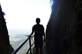 梦见自己爬坡上去了：梦见自己爬坡上去了，攀登内心的隐喻与启示