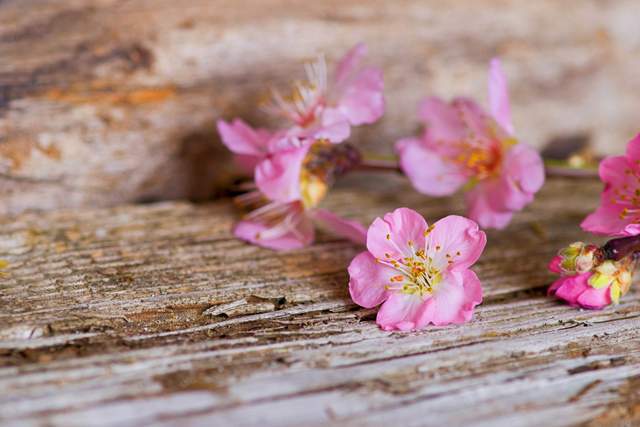 水瓶座女孩子的性格:水瓶座的女性,理性与诗意的双重奏 水瓶座女孩子的性格:水瓶座的女性,理性与诗意的双重奏