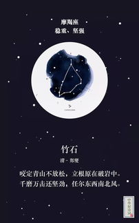 十二星座专属兔子:十二星座专属兔子的性格密码,你的星座匹配哪只治愈系毛茸茸? 十二星座专属兔子:十二星座专属兔子的性格密码,你的星座匹配哪只治愈系毛茸茸?