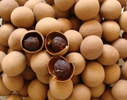 桂圆和龙眼的区别:桂圆和龙眼,傻傻分不清?一篇文章告诉你它们到底是不是一回事! 桂圆和龙眼的区别:桂圆和龙眼,傻傻分不清?一篇文章告诉你它们到底是不是一回事!