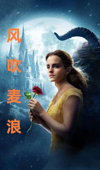 k8影视(K8影视经典电影) k8影视(K8影视经典电影)