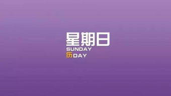 今日射手座的运势查询结果：今日射手座运势查询结果，幸运女神眷顾，冒险精神在线！