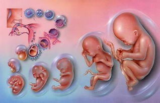 三种人容易长息肉:警惕!这三种人更容易长息肉,你中招了吗? 三种人容易长息肉:警惕!这三种人更容易长息肉,你中招了吗?