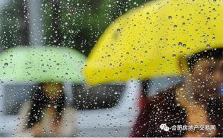 梦见下大雨房子塌了：梦中惊魂，大雨倾盆与危楼将倾的隐喻