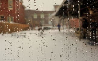 梦见下大雨房子塌了：梦中惊魂，大雨倾盆与危楼将倾的隐喻