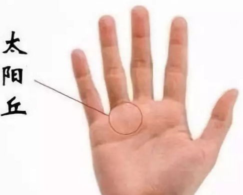 手相看财运9个特征：手相看财运的9个特征，从掌纹到指节，解锁你的财富密码