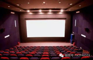 最近影院播放的电影(最近影院播出的电影) 最近影院播放的电影(最近影院播出的电影)