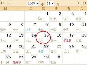怎么看阴历阳历：阴历阳历，传统与科学的时空对话