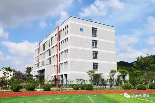 初中毕业想学中医哪个学校好(初中毕业学医应该去哪个学校) 初中毕业想学中医哪个学校好(初中毕业学医应该去哪个学校)
