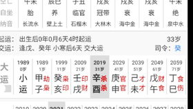 最准的八字喜用神查询：精准定位命理方向，揭秘八字喜用神查询的科学方法与权威工具