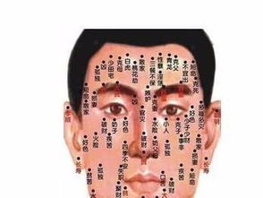 手上痣相图解10大福痣:精准图解手上10大福痣位置与运势解析,解锁你的专属福运密码! 手上痣相图解10大福痣:精准图解手上10大福痣位置与运势解析,解锁你的专属福运密码!