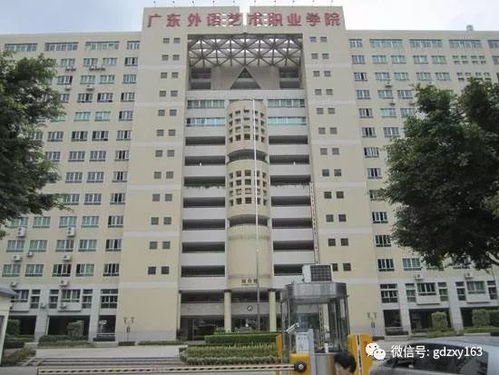 广东省外语艺术职业学院(广东省外语艺术职业学院花都校区) 广东省外语艺术职业学院(广东省外语艺术职业学院花都校区)