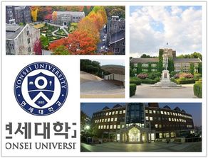 西安外国语大学国际本科3+1(西安外国语大学国际本科学费) 西安外国语大学国际本科3+1(西安外国语大学国际本科学费)