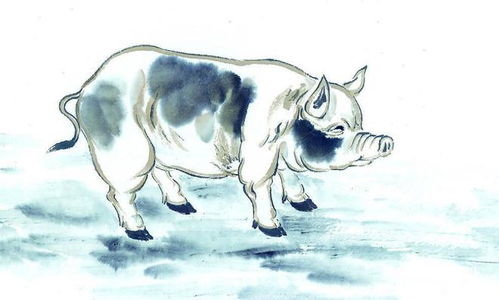 84年属鼠39岁有一灾2023年:84年属鼠人2023年生肖预警,39岁子水冲巳火一灾预警,化解指南请收好 84年属鼠39岁有一灾2023年:84年属鼠人2023年生肖预警,39岁子水冲巳火一灾预警,化解指南请收好